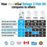 Omega 3 Fish Oil Capsules