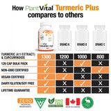 Turmeric Plus Curcumin w BioPerine