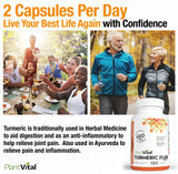 Turmeric Plus Curcumin w BioPerine