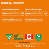 Turmeric Plus Curcumin w BioPerine