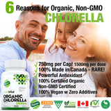 Organic Chlorella