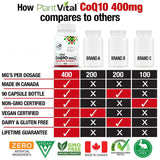 Coenzyme CoQ10