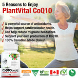 Coenzyme CoQ10