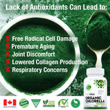 Organic Chlorella