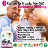 Organic Echinacea (5,000mg)