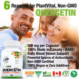 Quercetin Maximum Potency