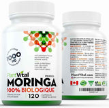 Organic Moringa Leaf
