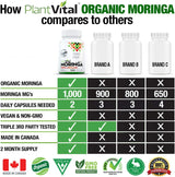 Organic Moringa Leaf