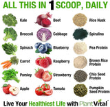 Plant Based Protein w Superfoods (Unflavoured)