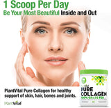 Pure Collagen Peptides Powder