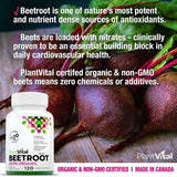 Organic Beetroot