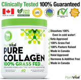 Pure Collagen Peptides Powder