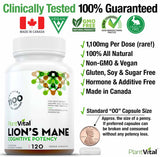 Organic Lion’s Mane