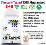 L-Theanine Capsules HIGH POTENCY (250mg)