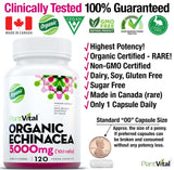 Organic Echinacea (5,000mg)