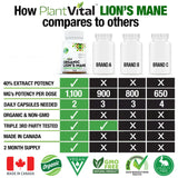 Organic Lion’s Mane