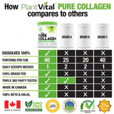 Pure Collagen Peptides Powder