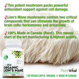 Organic Lion’s Mane