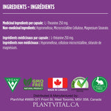 L-Theanine Capsules HIGH POTENCY (250mg)