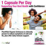 Organic Echinacea (5,000mg)