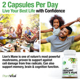 Organic Lion’s Mane