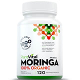 Organic Moringa Leaf