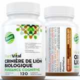 Organic Lion’s Mane