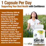 KSM-66 Ashwagandha
