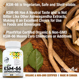 KSM-66 Ashwagandha
