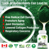 Organic Spirulina