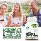 Organic Lion’s Mane