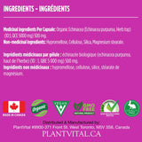 Organic Echinacea (5,000mg)