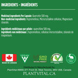 Quercetin Maximum Potency