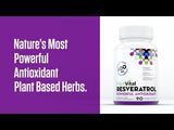 Resveratrol High Potency (600mg)
