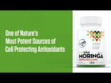 Organic Moringa Leaf