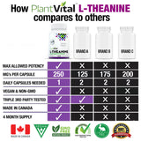 L-Theanine Capsules HIGH POTENCY (250mg)