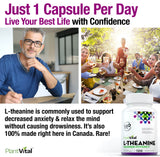 L-Theanine Capsules HIGH POTENCY (250mg)