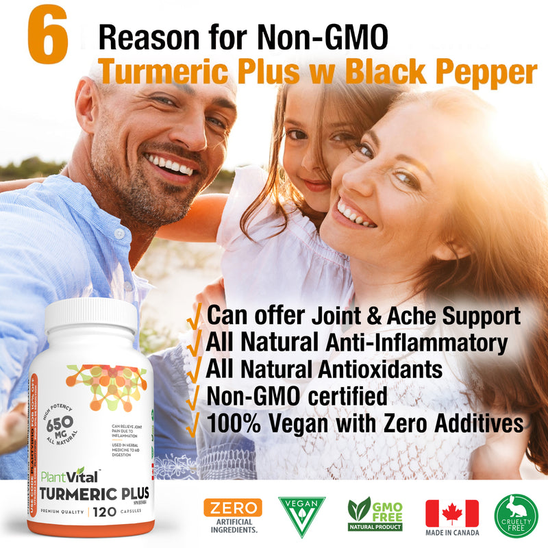 Turmeric Plus Curcumin w BioPerine
