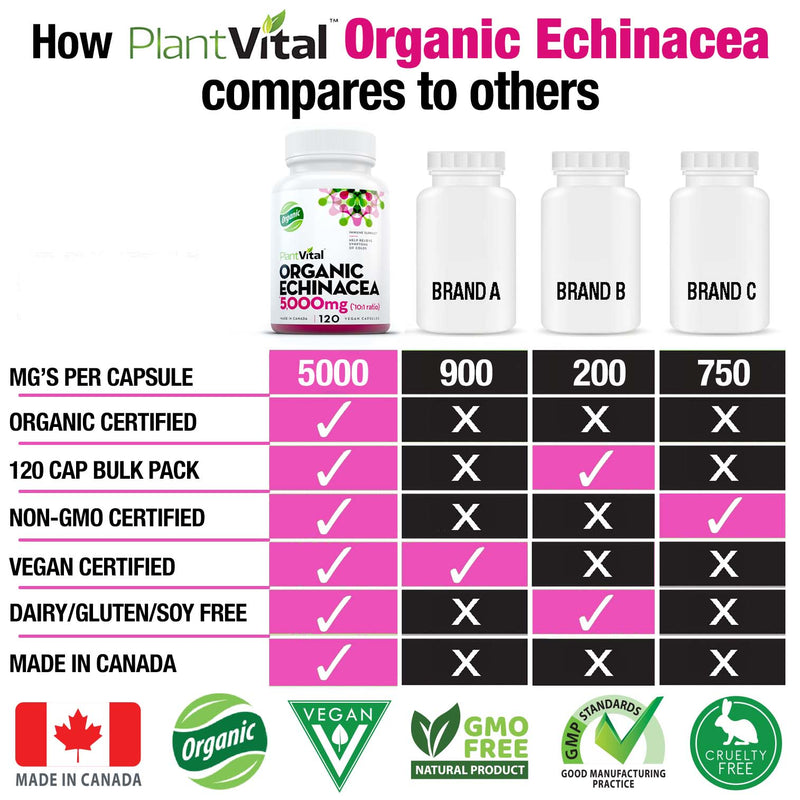 Organic Echinacea (5,000mg)