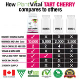 Tart Cherry Extract 10,000mg dosage