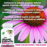 Organic Echinacea (5,000mg)