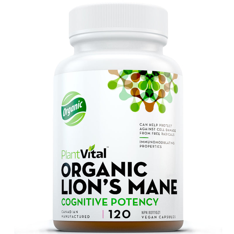 Organic Lion’s Mane