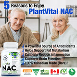 NAC Supplement 600mg - NAC (n-acetyl cysteine)
